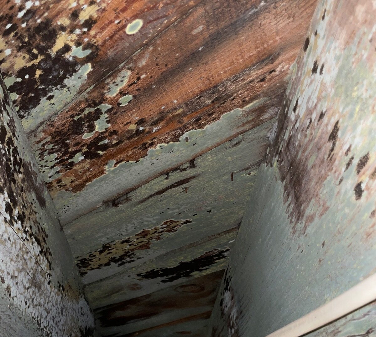 Prescient Environmental Wood Framing Assessment