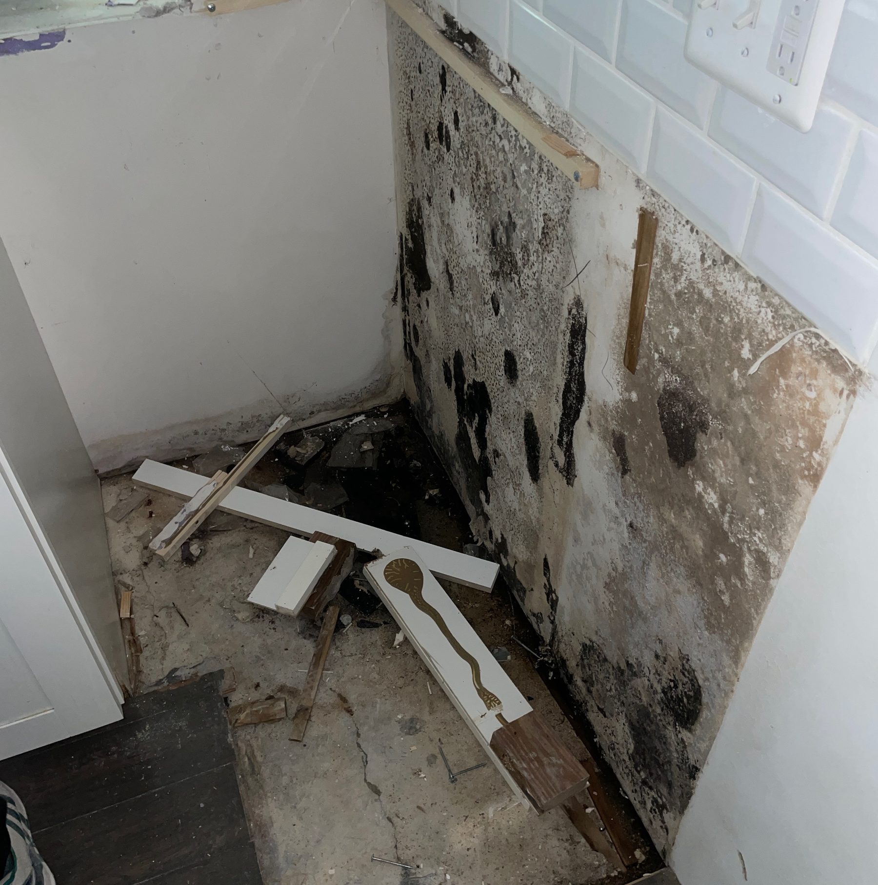 Black mold growth on the back of drywall and subfloor after a long-term water leak