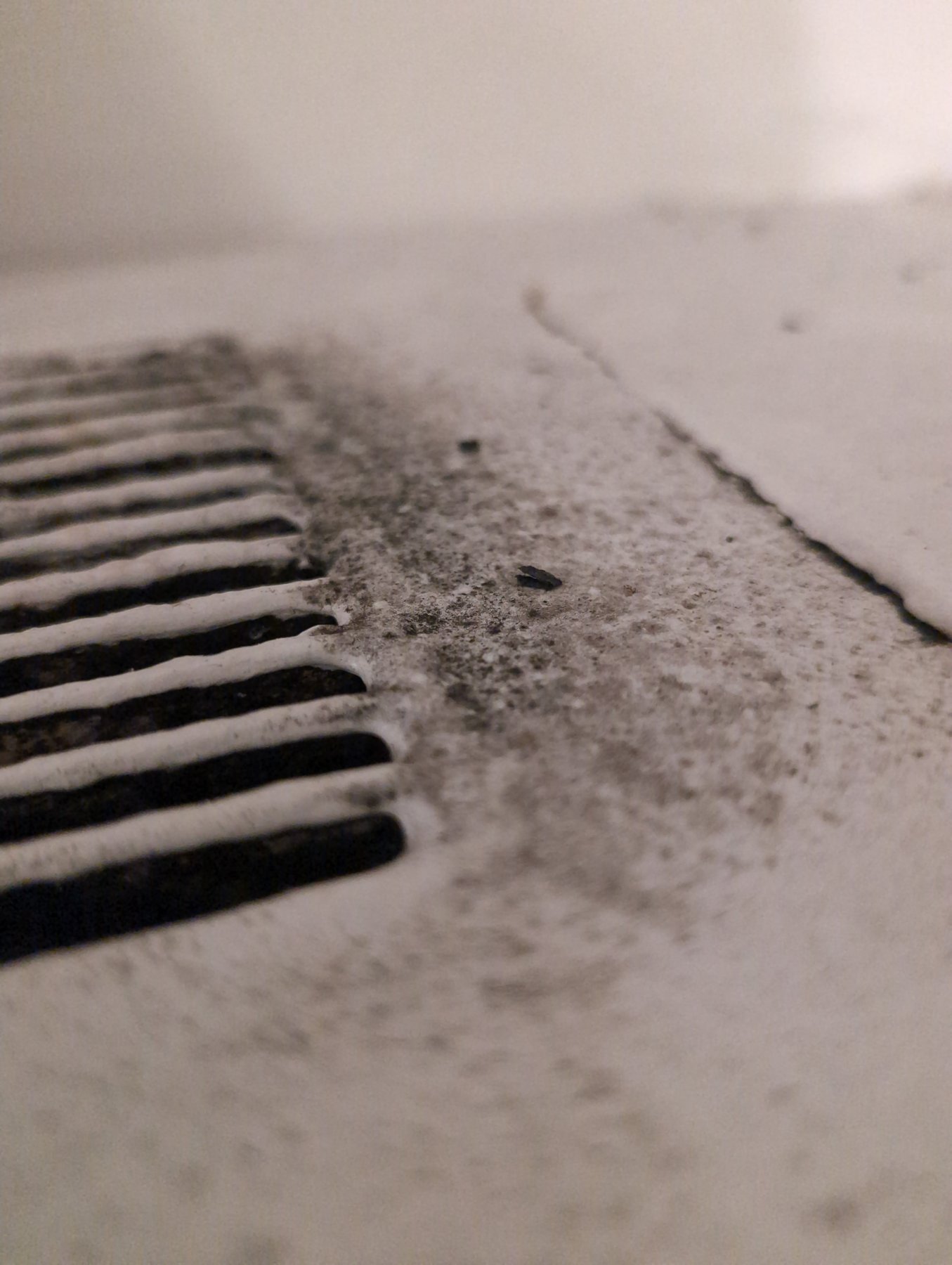 Close-up of mold growth on the slats of an HVAC supply register, found during an indoor air quality inspection