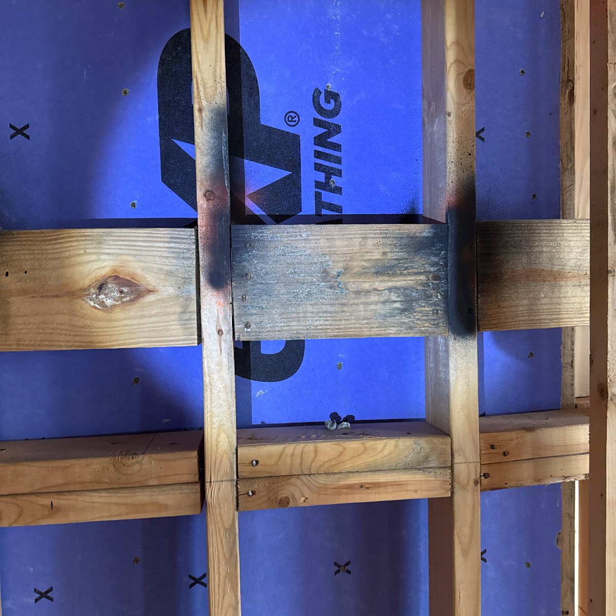 Mold growth on a wood stud against ZIP System sheathing at The Chasen Apartments during a framing inspection
