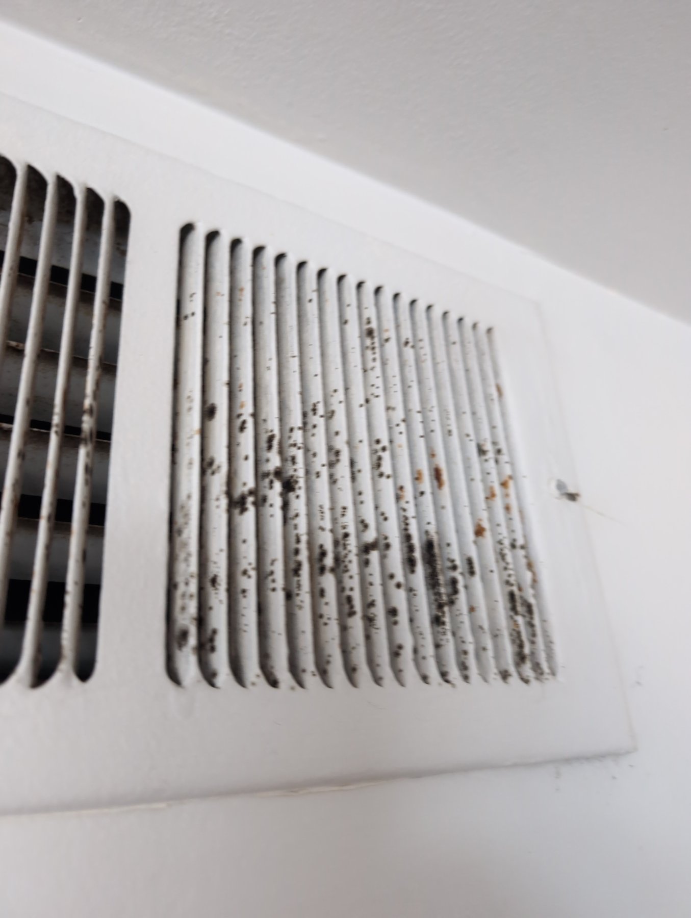 Mold growth on an HVAC supply register, a common finding in indoor air quality and HVAC inspections