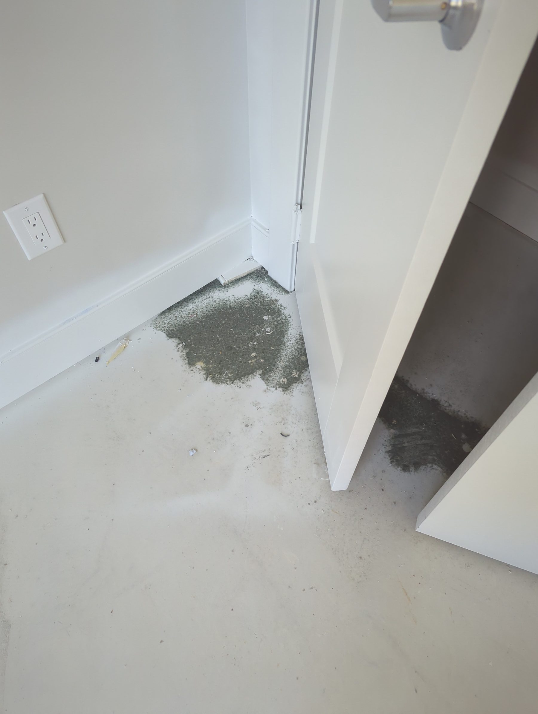 Standing water on a floor at the base of a wall after a plumbing leak