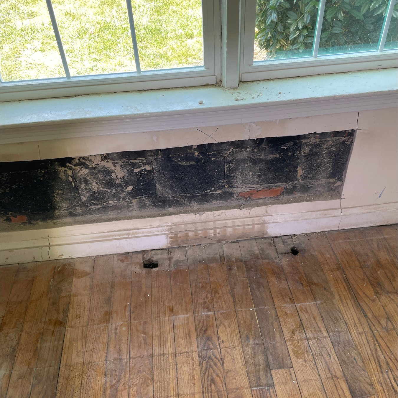 Flood cut below a window exposing black mold on the wall cavity at Worthington Woods Apartments